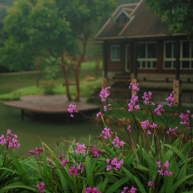  หลงรักบ้านอีต่อง หมู่บ้านแห่งสายหมอก💚🌨️