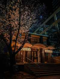 【名古屋】歴史あるお寺で桜春の訪れを感じよう！✨🌸
