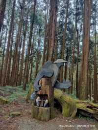 ไปดูดอกแมกโนเลียที่ Alishan 