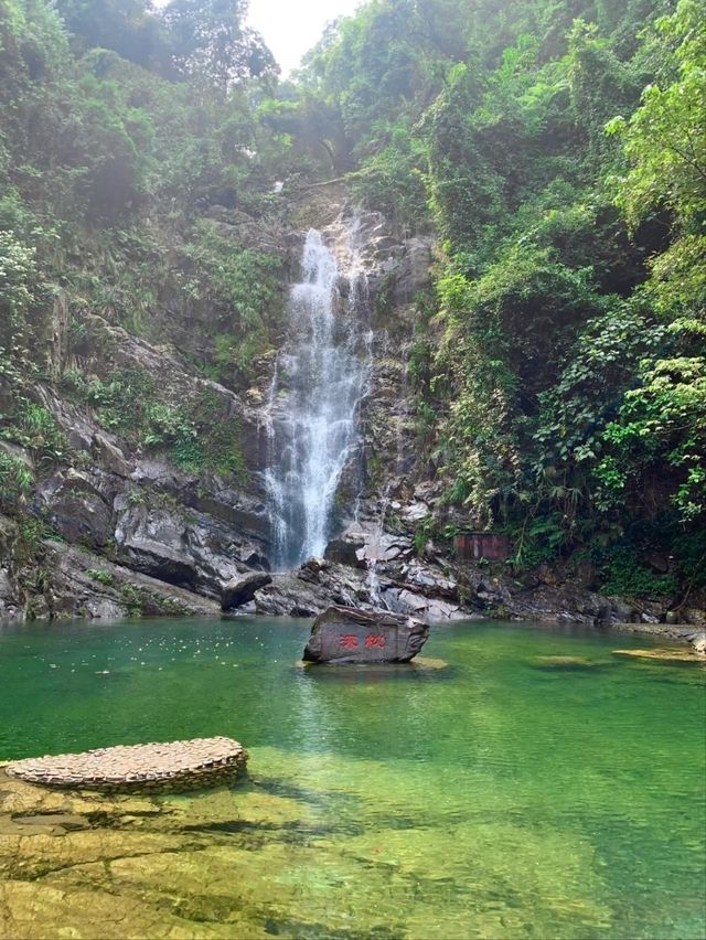 Dinghu Mountain-Perfect Blend of Nature and Spirituality