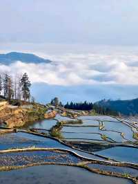 Yuanyang: Spring’s Shimmering Mosaic