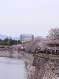 大阪城🌸