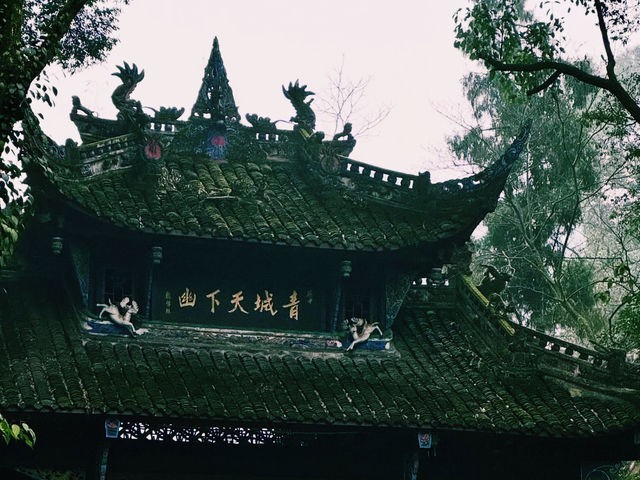 🇨🇳:成都 神秘の霊山で“心と体”を浄化する癒しの旅へ