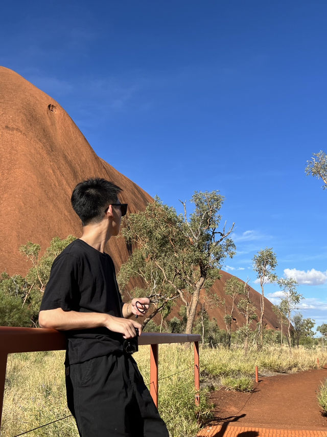 Desert in Bloom: Uluru in April is Pure Magic