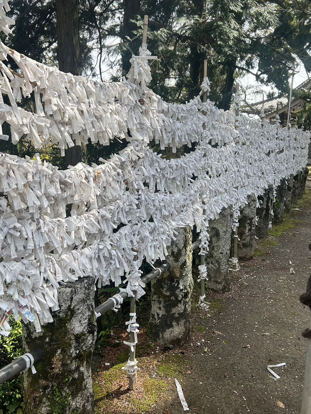 日本四國