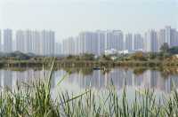 An Endless Number of Fish Ponds in Yuen Long 