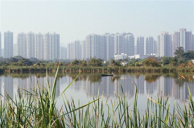 An Endless Number of Fish Ponds in Yuen Long 