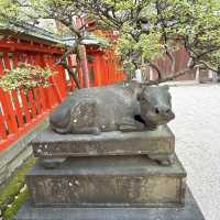 【天神】天神の名前の由来✨鯉が泳ぐ個性派神社✨