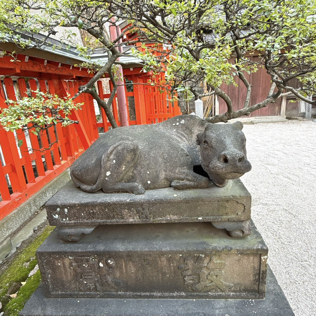 【天神】天神の名前の由来✨鯉が泳ぐ個性派神社✨