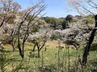 Mitsuike Park, Yokohama