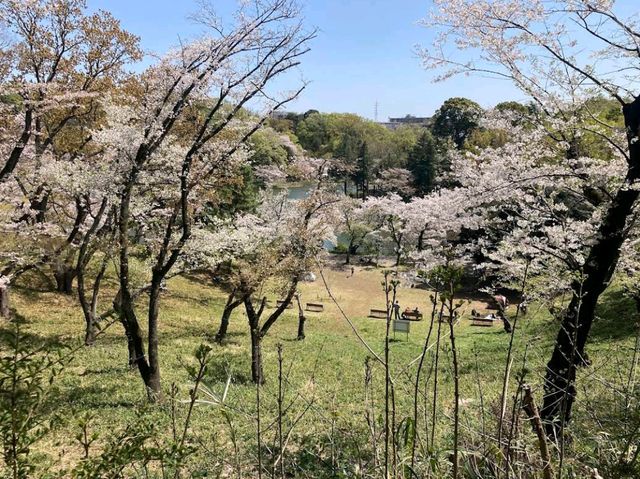 Mitsuike Park, Yokohama