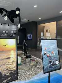 釜山海女文化展示館太好吃了吧