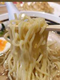 【栃木】餃子の食べ比べ！