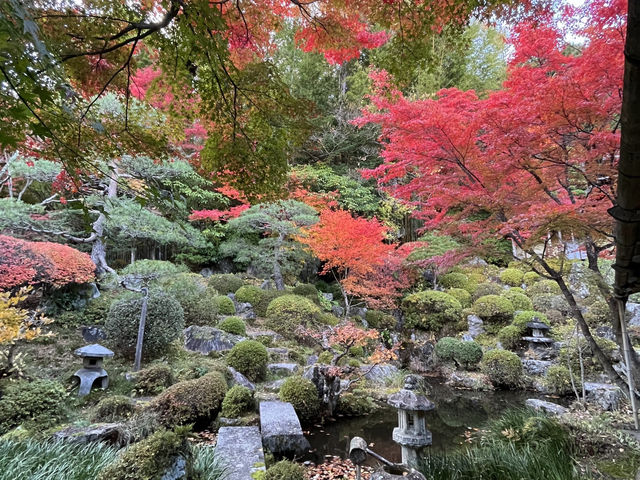 興禅寺の看雲庭と紅葉