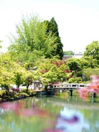 【京都】青紅葉の天国🍁 絶景スポット多数あり