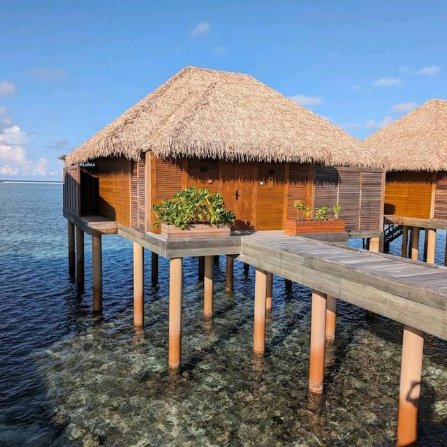 Barceló Whale Lagoon Maldives 