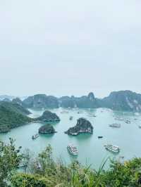 【ベトナム🇻🇳】 絶景ツアー ハロン湾クルーズ