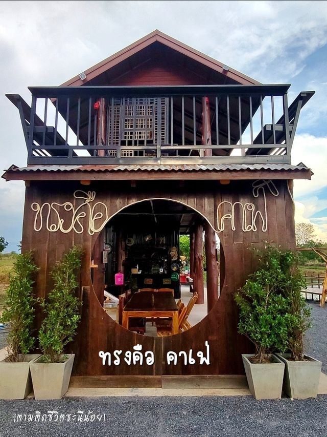ทรงคือ คาเฟ่ 🌼