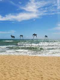 일몰이 그림같은 푸꾸옥 해변 🏖️ 선셋사나토 !