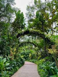 A Gem in the Heart of Singapore: National Orchid Garden