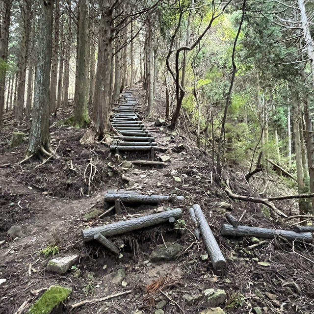 【大洞山〜尼ヶ岳】⛰️ 関西百名山