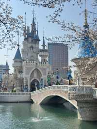 Cherry Blossoms Guide for Lotte World