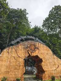 Gaharu Tea Valley Gopeng: A Serene Agarwood Sanctuary in Perak