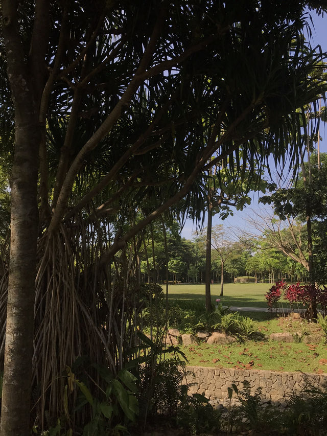 Get good photo spots amidst good food too in Kuala Lumpur
