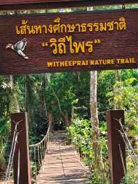 เขตรักษาพันธุ์สัตว์ป่าเขาสอยดาว