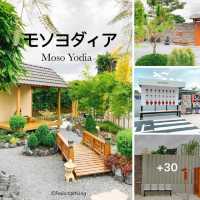 มัดรวมคาเฟ่สไตล์ญี่ปุ่น ที่อยุธยา