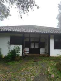 Misty Moments in a Hidden Japanese Village Above the Clouds