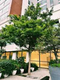 Sky-High Serenity at The Starling Mall Rooftop Garden