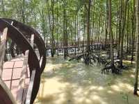 Taman Negara Johor Pulau Kukup – A Solo Traveller’s Adventurous Escape