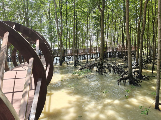 Taman Negara Johor Pulau Kukup – A Solo Traveller’s Adventurous Escape