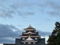 Is This Japan’s Best-Kept Secret? An Early Spring Evening at Okayama Castle!