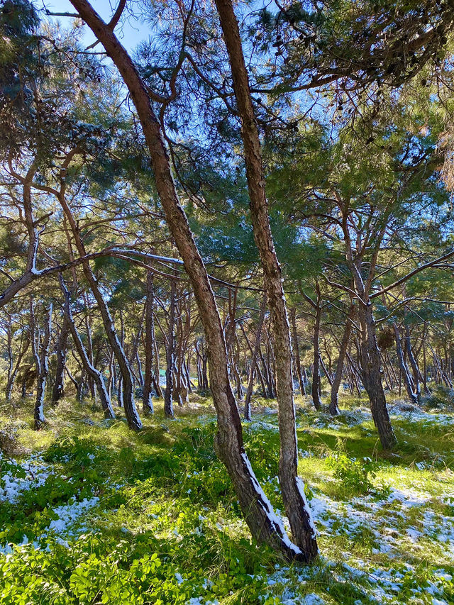Winter Wonderland at Princes' Islands, Istanbul!