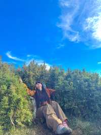 From Forest Trails to Cloudy Peaks: Mt. Pulag Magic