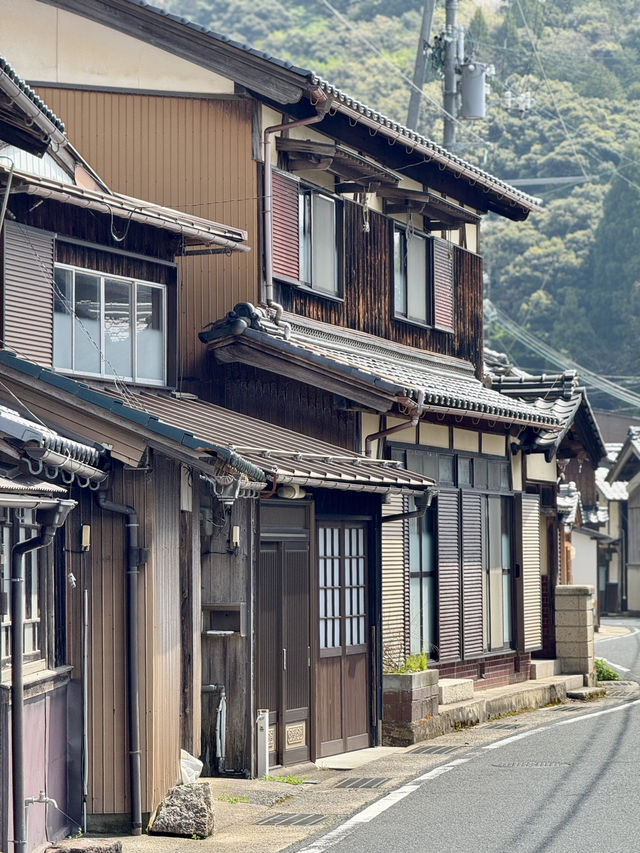 Japan’s best-kept secret! 🌊