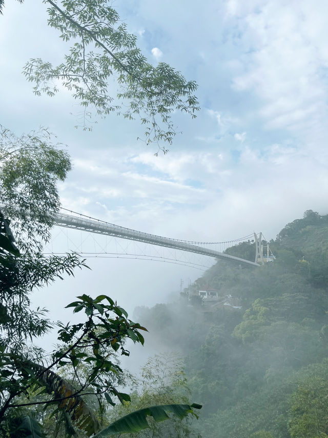 【台湾】太平雲梯☁️