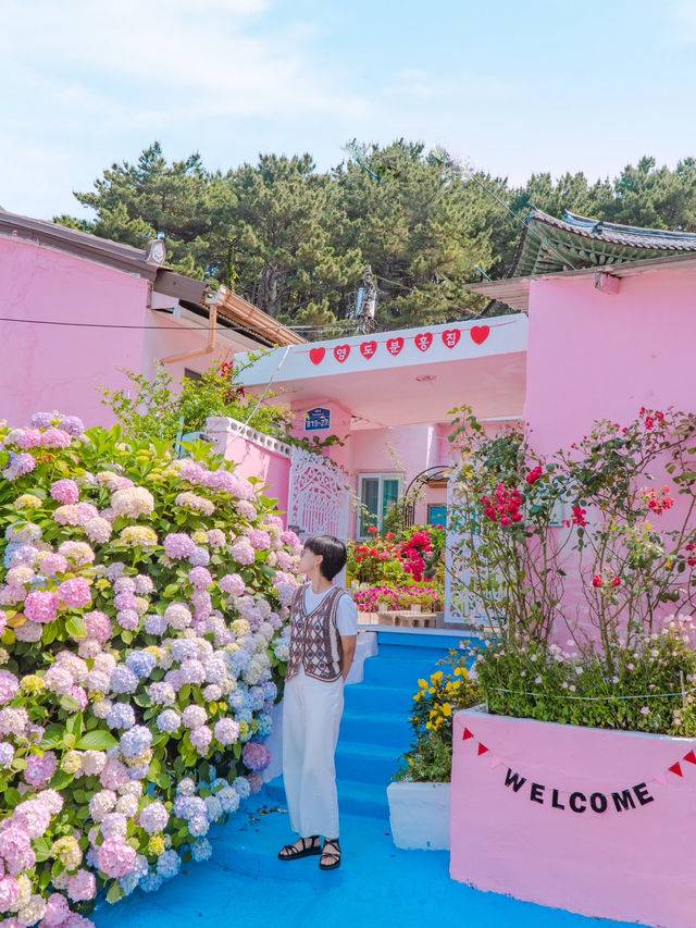 부산 영도 태종대 수국 명소 “분홍집”💕