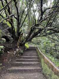 Worth for the hiking