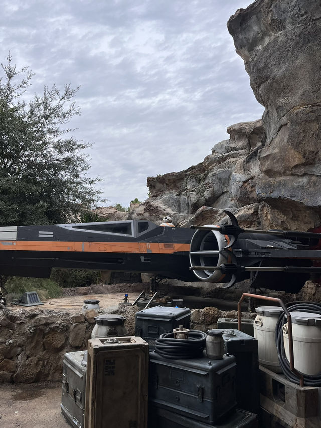 スターウォーズの世界へ🌏inフロリダディズニー