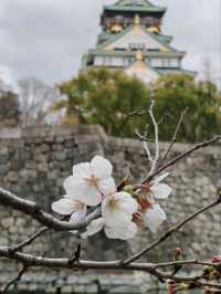大阪城公園历史與自然的完美融合