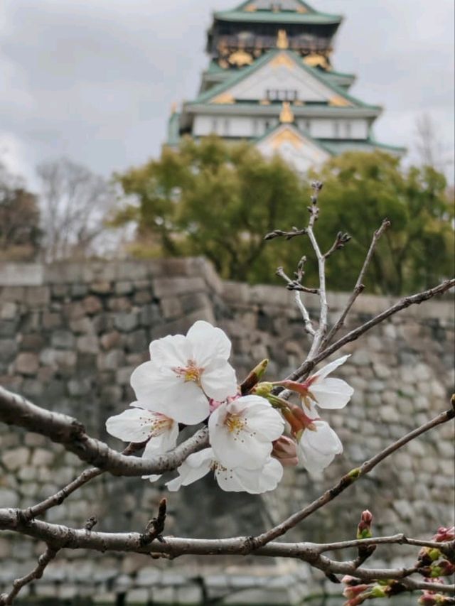 大阪城公園历史與自然的完美融合