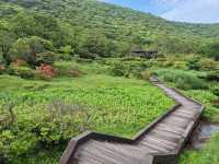 Yangmingshan is Taipei’s wild side