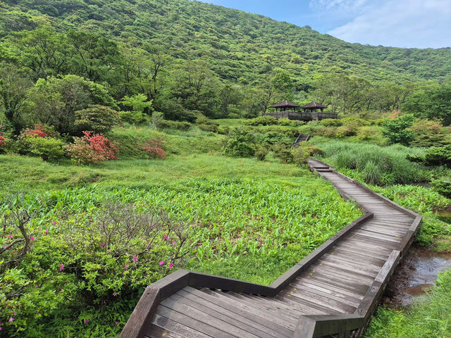 Yangmingshan is Taipei’s wild side