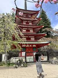 Mount Fuji Magic: Sakura, Serenity, and Stunning Views
