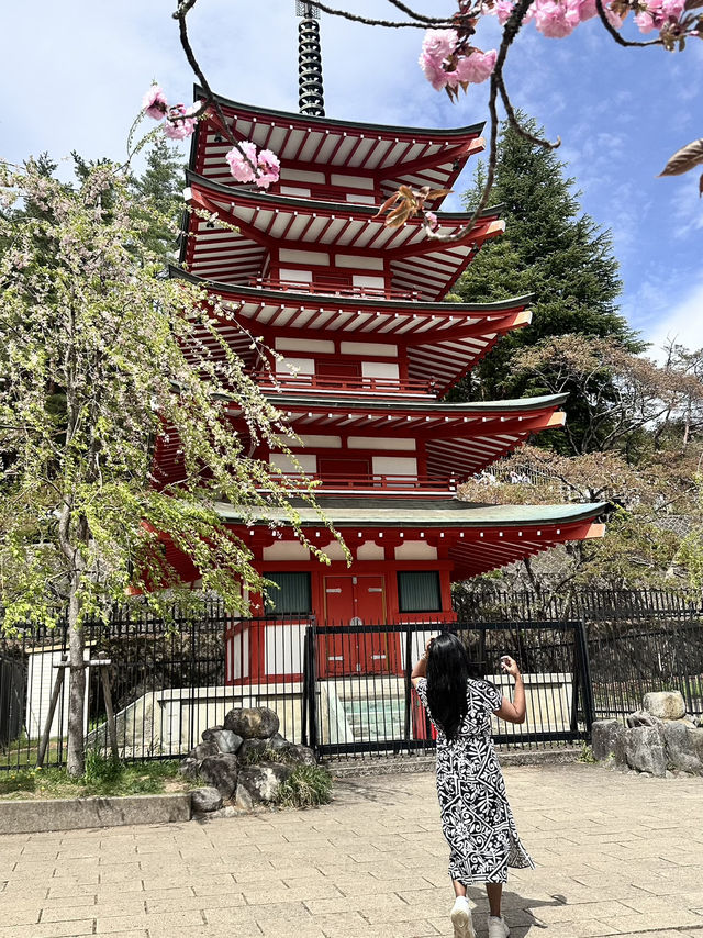 Mount Fuji Magic: Sakura, Serenity, and Stunning Views