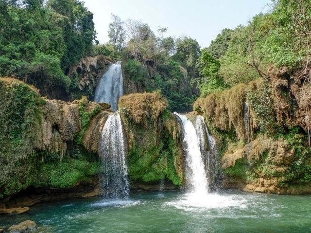 🌿 Pyin Oo Lwin Perfection: Flowers, Horse Carts & the Best Coffee in Myanmar ☕  