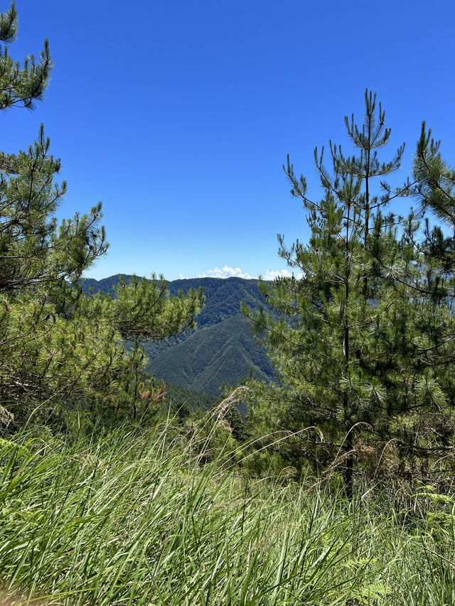 武陵出發登雪山東峰！百岳入門一日輕攻頂指南